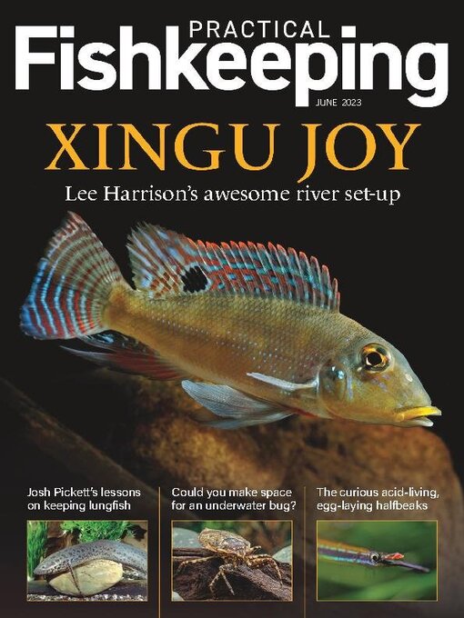 Title details for Practical Fishkeeping by Warners Group Publications Plc - Available